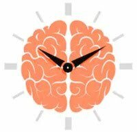 reloj-biologico