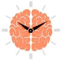 reloj-biologico