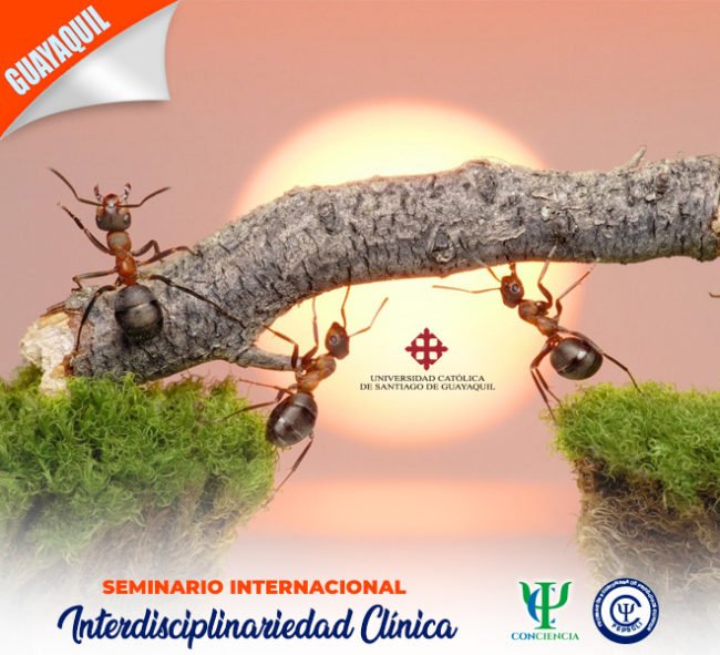 seminario-Interdisciplinariedad-clinica